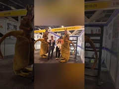 सिडनी बिल्ड एक्सपो की पुरस्कृत यात्रा