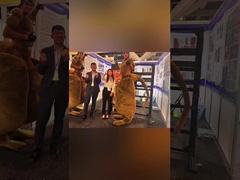 सिडनी बिल्ड एक्सपो की पुरस्कृत यात्रा